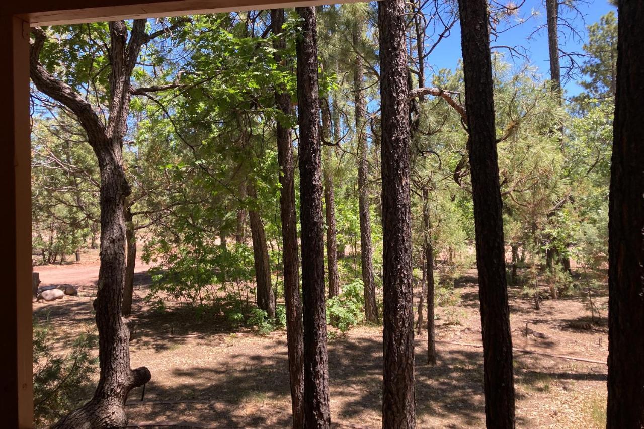 Tranquil Pines Retreat Villa Pinetop-Lakeside Buitenkant foto